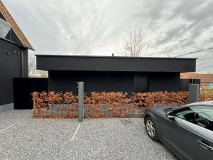 Apartment LO Reine of Budgetkamer The Box