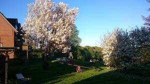 Schlei-Liesels Ferienwohnungen