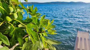 Villa Penava, private beach, pool and 7min to Trogir