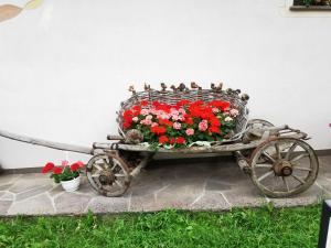 Ferienwohnung Biene - Moosbachhof