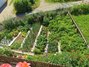 Ferienwohnung Biene - Moosbachhof