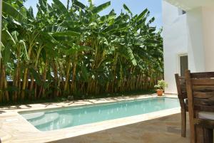 Villa Julito, Kiwengwa