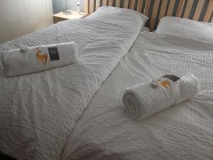 B1 In Center of Marrakech, Geliz-Majorelle, Bab-Dokala, No need for Taxi