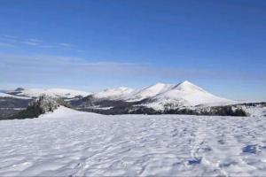 Appartements Studio au coeur du centre ville : photos des chambres