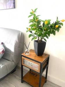 Bottero-Joli Studio avec terrasse 5 mins de la mer