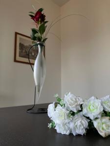 Roby Apartment in centro 3 camere 3 bagni