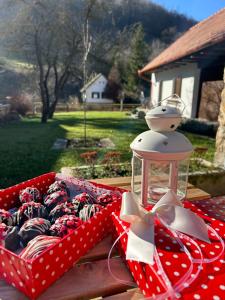 Tücsök Vendégház Óbánya