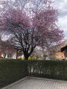 CASA PINUCCIA APPARTAMENTO EST