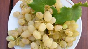 Romantico Monolocale