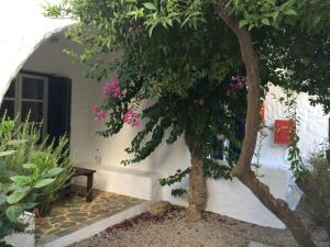 Utopia Hotel Apartments