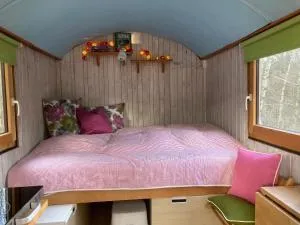 Arabian Harmony herzlich und familiär - Mistelgau