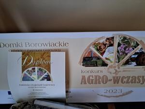 Domki Borowiackie nad brzegiem jeziora