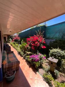 La Casa de Mamá Coyita