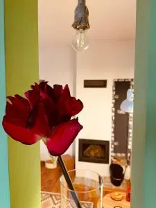 Noua Apart - 彼得罗沙尼