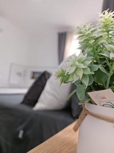 Il Sogno di Giò img16