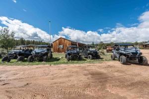 Cabin in Colorado National Forest at MLazyC ranch!