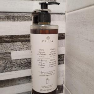 Hanul Doctorului Badeni-Runcu Vila 2