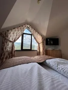 Hanul Doctorului Badeni-Runcu Vila 2 - Siliştea