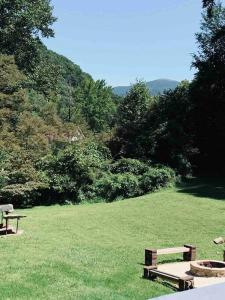 Romantic Chalet w Hot Tub close to Roan Mountain