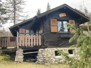 Entire cozy chalet in St-Cergue - 30 min from Geneva - Arzier