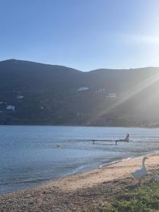 Sea Senses Andros - A Beachfront Retreat