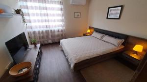 Szilfák City apartman