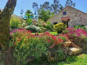 Cedrim Hillside - Alcafaz