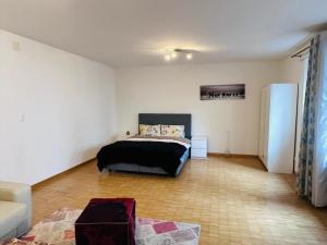 Apt near Basel Centre and Airport