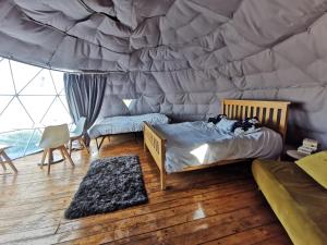 Dome One with Hot Tub, Lincoln, Projector, Firepit