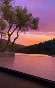 Las Filipinas, Apartment Lemoni