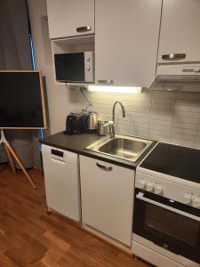 Viihtyisä korkealuokkainen, tilava ja parvekkeellinen yksiö Logomolla 1-2hlö