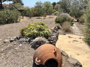 Nisyros Traum „Speladi“