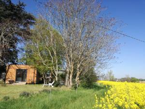 Tiny chalet dans la campagne lauragaise