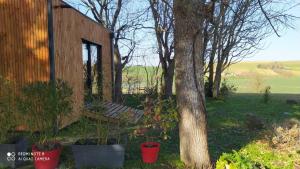 Appartements Tiny chalet dans la campagne lauragaise : photos des chambres
