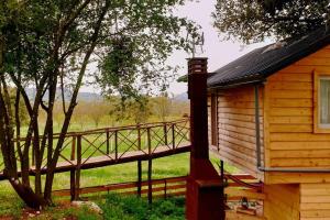 The Treehouse of The Dragon