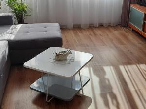 Apartament pod Dębem
