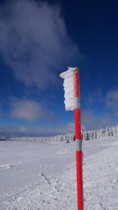 Appartements La Fontaine Salee-Home Shanti-Chastreix : photos des chambres