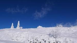 Appartements La Fontaine Salee-Home Shanti-Chastreix : photos des chambres
