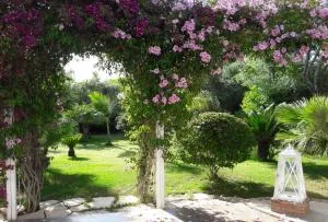 Sweet Home - 皮希纳斯