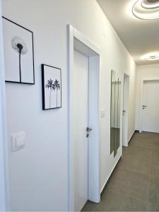 Apartman Apartments LUX Novalja 