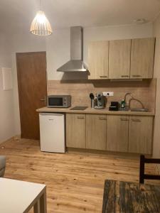 Appartements Les balcons de l-Arbizon : photos des chambres