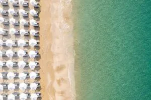 Barefoot Contessa - Lourdhata