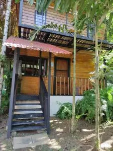 Papaya Wildlife Lodge - Comadre