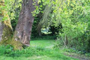 Maisons de vacances Charmant cottage 8 personnes en Normandie : photos des chambres