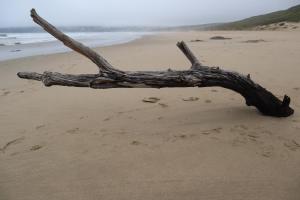 Tornyntjie Beach House