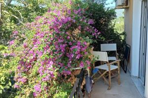 La Mandynia Appartment 3 Mountain View