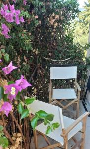 La Mandynia Appartment 3 Mountain View