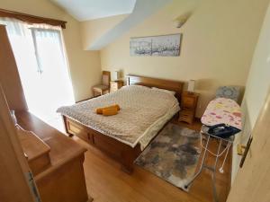Apartmani Kenova 5