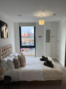 Superb New Build City Centre Flat and Gym