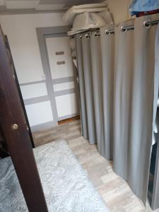 le Mont dore Centre ville appartement